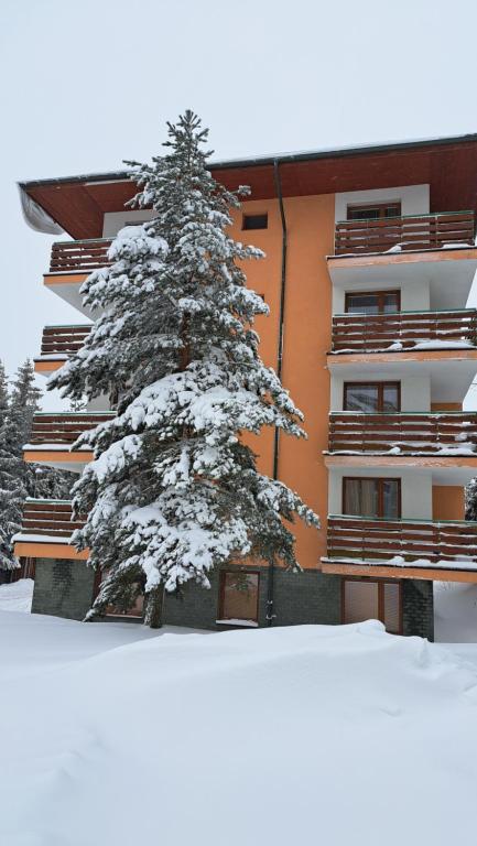 Apartmán Pálenica II - Ferienwohnung Tatranská Štrba