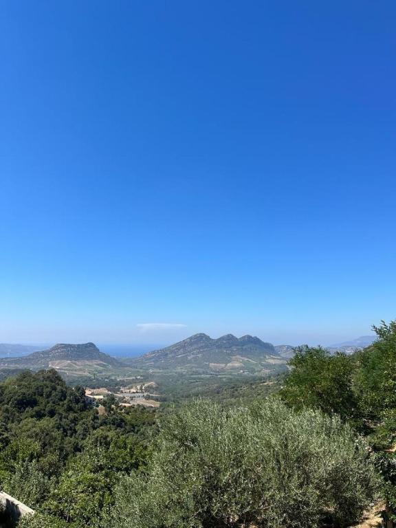 Maison 4 Pers - Vue mer et vignoble exceptionnelle - Chambres d'hôtes Poggio-d'Oletta