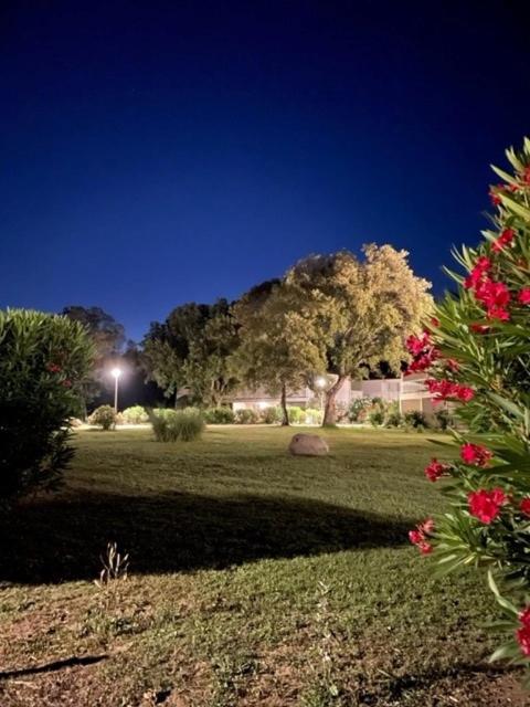 Appartement à Cala Rossa - Ferienwohnung Lecci