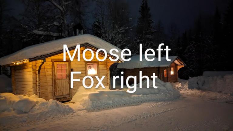 Lapland Snow Moose - B&B Vittangi