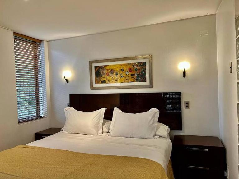 II Orly Suites Pedro de Valdivia 0200 - Bed and Breakfast Santiago de Chile