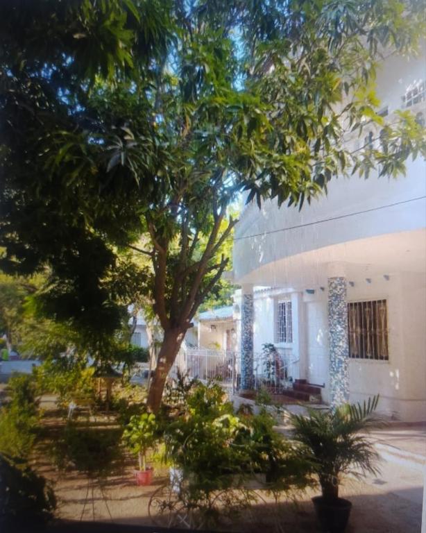 CASA VALENTINA DEL MAR-RODADERO-SANTA MARTA - B&B Santa Marta