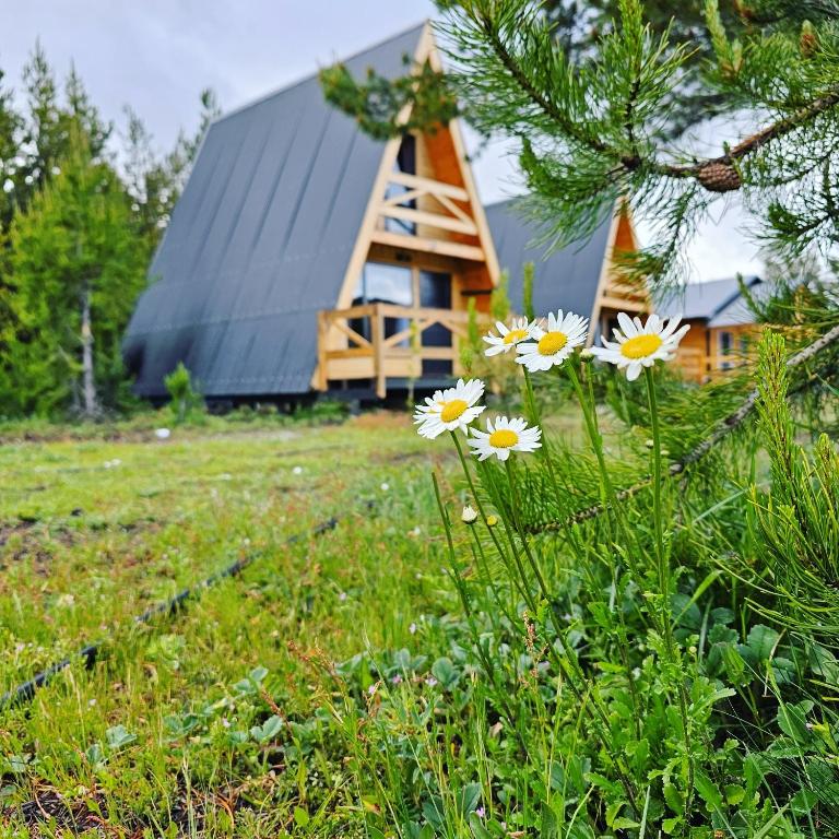 Cabañas Entre Cumbres - Ferienwohnung Moquehue
