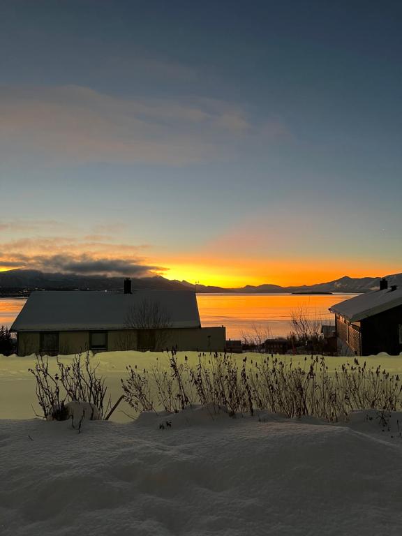 Modern Apartment in Scenic Kvaløya Amazing view - B&B Tromsø