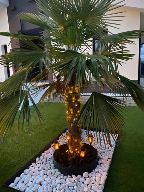 La Palmera del Sotillo - Chambres d'hôtes La Lastrilla