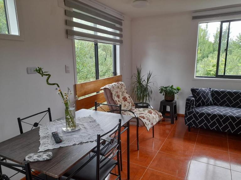 Apartamentos Vera Ribbeck - Bed and Breakfast Valdivia
