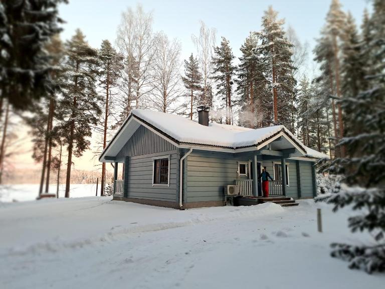 Välituvan lomamökit - Chambres d'hôtes Punkaharju