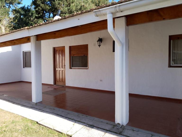 Vida nada me debes - B&B Ostende