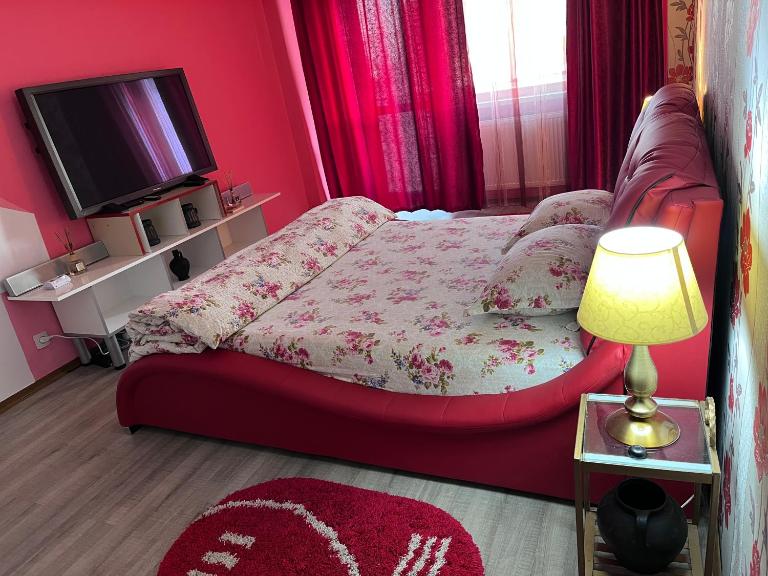 Ultracentral zona zero apartament - B&B Bacau