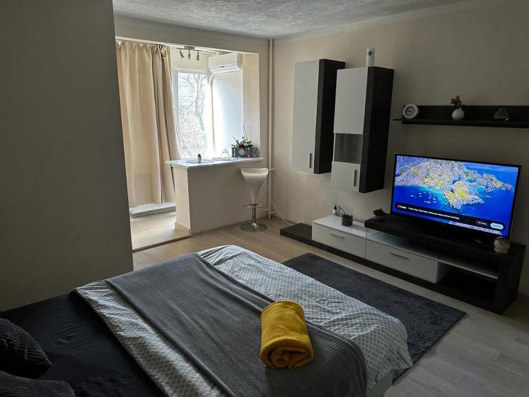 REEAS APARTAMENT - B&B Timişoara