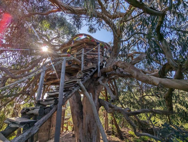 Magical Treehouse - B&B Lagos