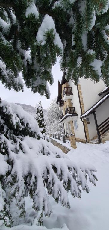 Anikaapartmani, Brzeće - Chambres d'hôtes Brzeće