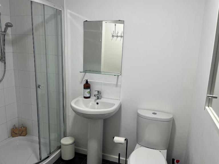 Loganberry apartment - Chambres d'hôtes Belfast