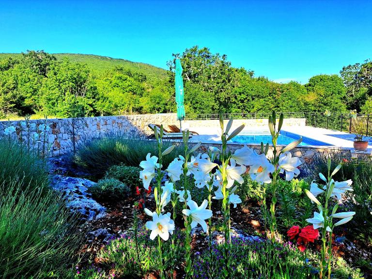 Relaxing Dalmatian house in village - B&B Ljubitovica