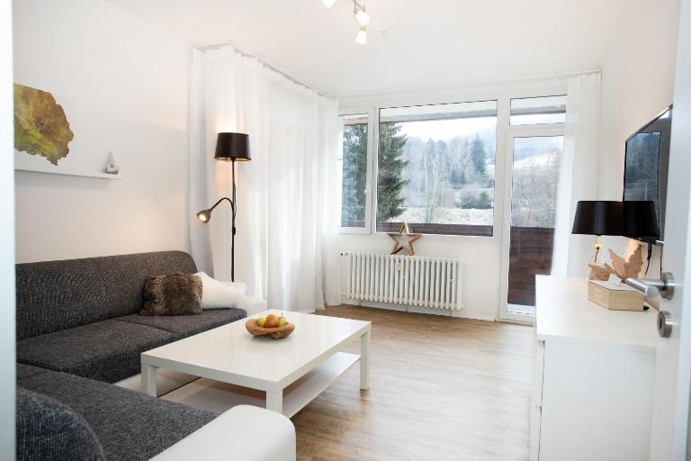 Apartmány na Tanvaldském Špičáku - Bed and Breakfast Jiřetín pod Bukovou
