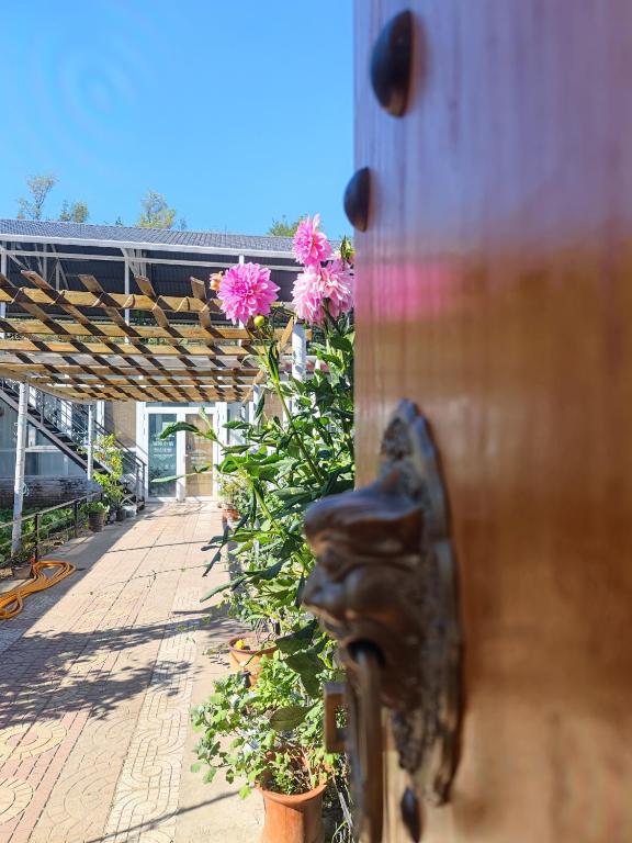 Gubeikou Great Wall Chengtaoxiaozhu Boutique Homestay - Bed and Breakfast Miyun