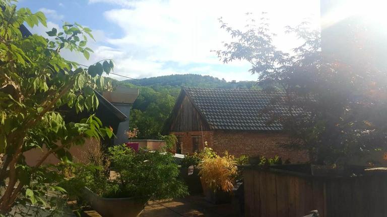 "Côté nature", appartement cosy au cœur de Munster - B&B Munster