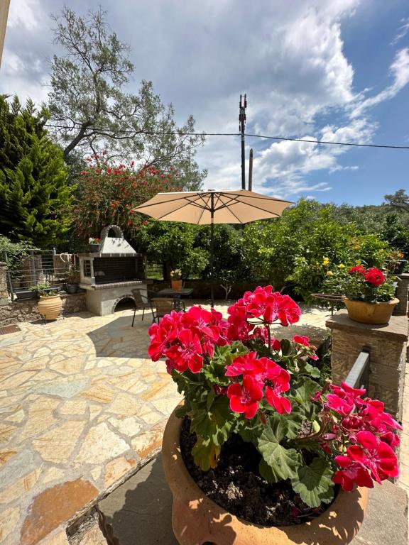 Casa Malva Giardino - B&B Parga