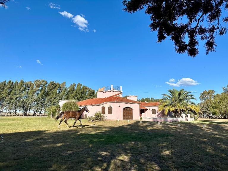 Casaquinta Haras El Tropicano - B&B Bahía Blanca