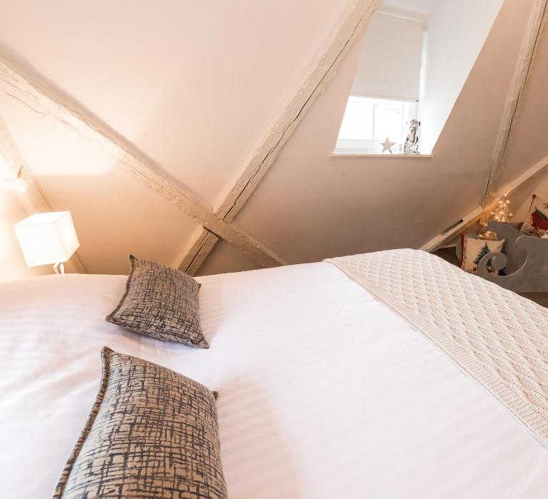 My Sweet Homes - La Grenouillère HYPERCENTRE - B&B Colmar