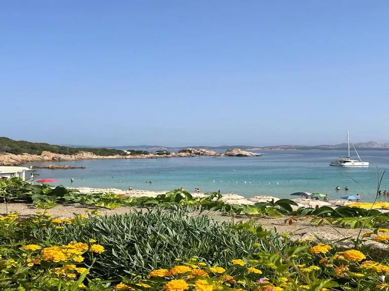Seaside Apartment Baja Sardinia - Rent from July 25, 2026, to August 15, 2026 - B&B Baja Sardinia