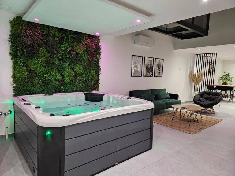 Spa des ducs loft 2 - B&B Bar-le-Duc
