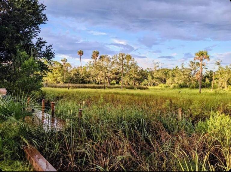 Surfers Paradise: Cozy Home near Hanna Park Poles - Ferienwohnung Jacksonville