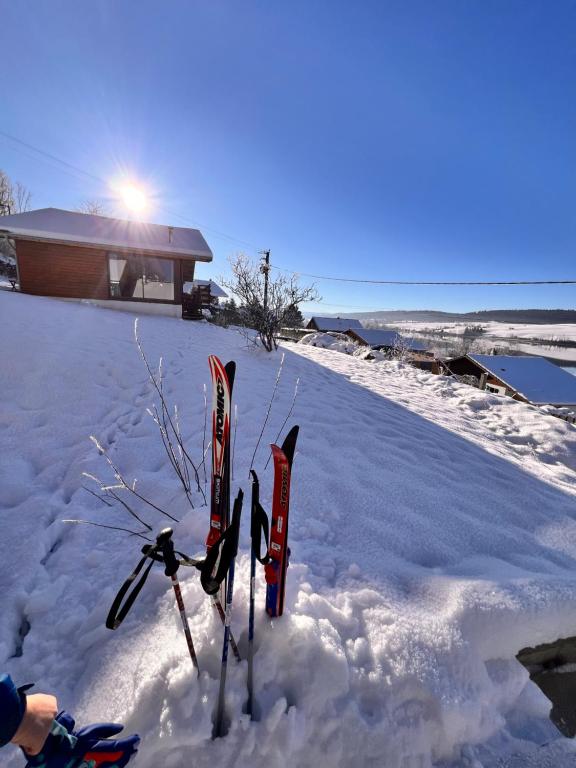 Chalet Charmant rénové au bord du Lac St Point - Ferienwohnung Montperreux