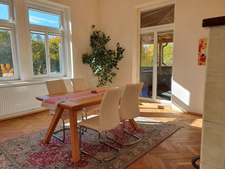 Neu renovierte Altbauwohnung im Herzen von Steyr 100qm - B&B Steyr