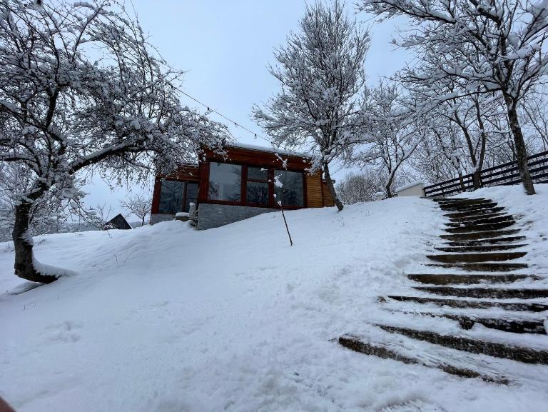 Biutiful Bungalow - Bed and Breakfast Vişeu de Sus