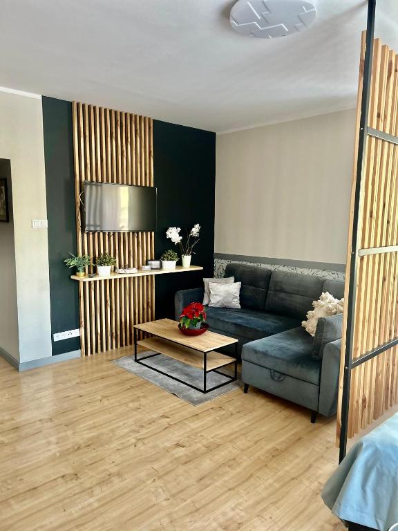 Apartament Walczaka 42 MIEJSCE PARKINGOWE - Bed and Breakfast Gorzów Wielkopolski