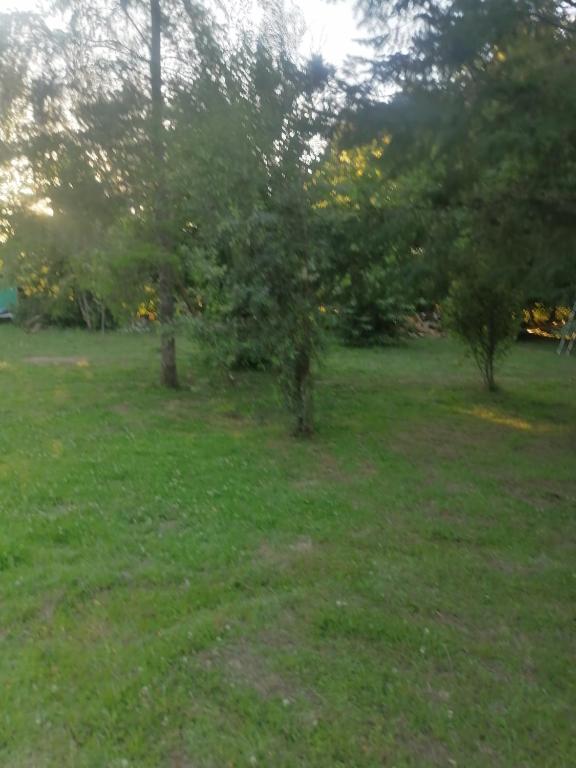 Cisnes del tolten - B&B Freire