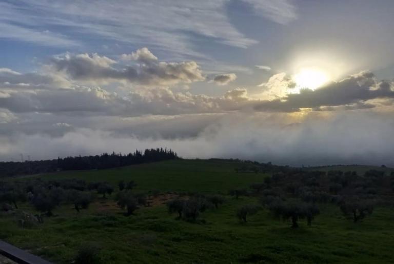 Magical Rosemary Chalet - B&B Al Mashāriqah