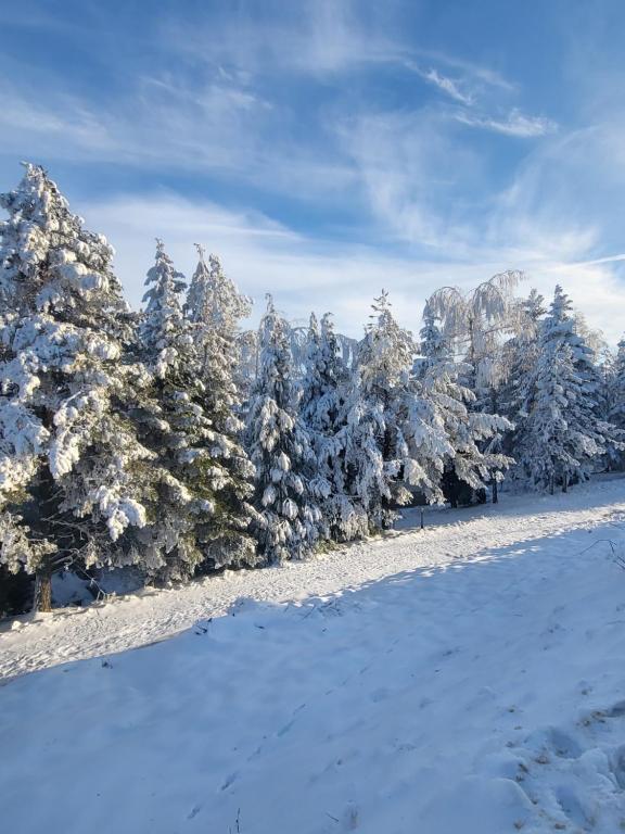 Lovac apartmani - B&B Zlatibor