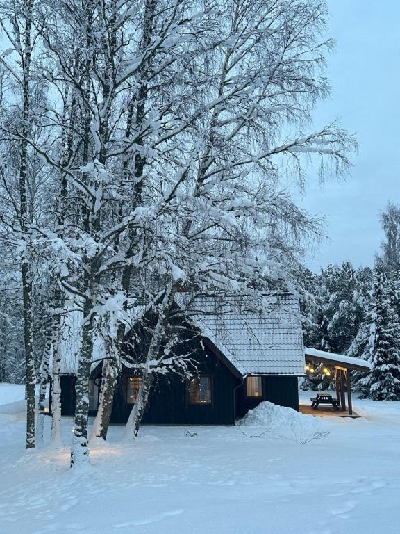 Brīvdienu māja Vējiņi - Chambres d'hôtes Straupe