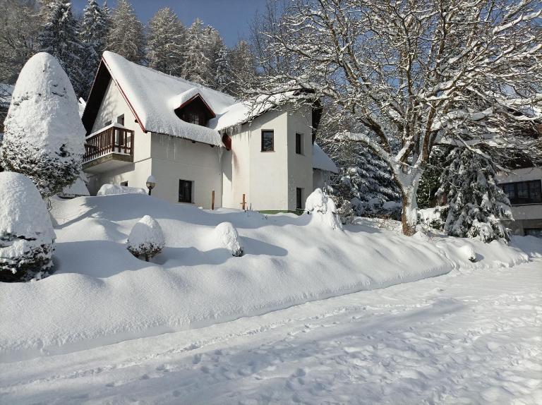 Pension DORO - B&B Černý Důl