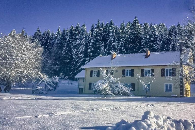 Chalet Cosy Lisière de Forêt - Ferienwohnung Xonrupt-Longemer