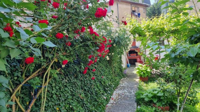 Bosnien Old House - B&B Travnik