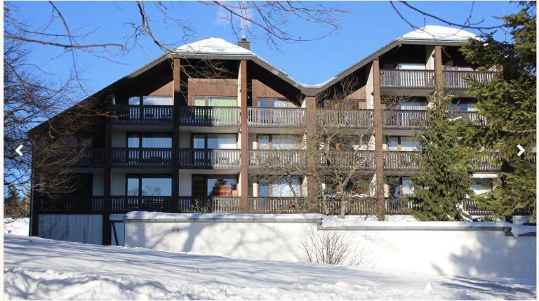Welcome in - Studio 4-3 mit Terrasse, direkt an der Skipiste und am Bikepark - B&B Winterberg