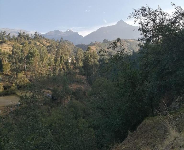 Pitec Hostel Lodge - Chambres d'hôtes Huaraz