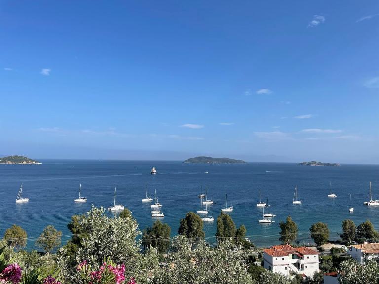Villa Athena Skiathos - B&B Megali Ammos