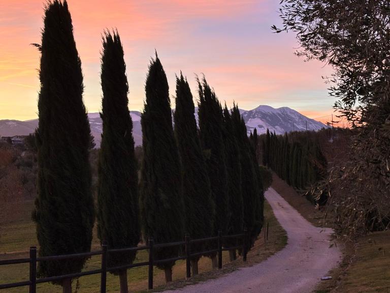 Agriturismo La Masseria - La casa tra gli alberi - Chambres d'hôtes Cugnoli