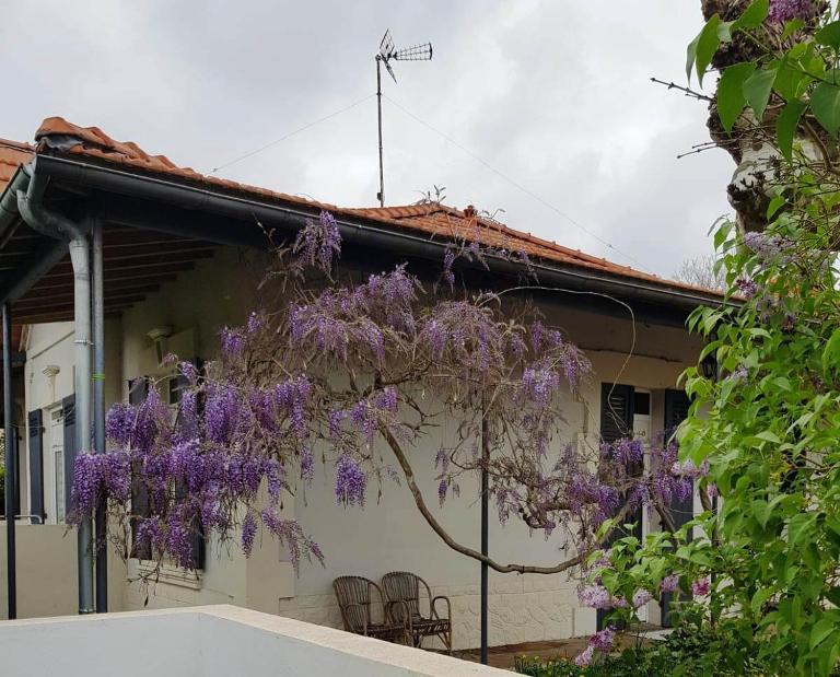 La maison d'Irma - B&B Lanton