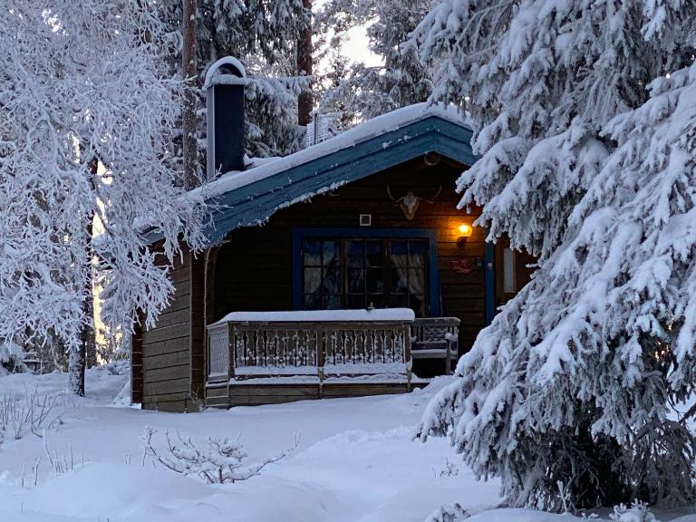 Timrad stuga i kanten av skogen med SPA möjlighet - Bed and Breakfast Mullsjö