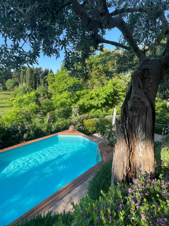 Amore a prima vista b&b - B&B Campiglia Marittima