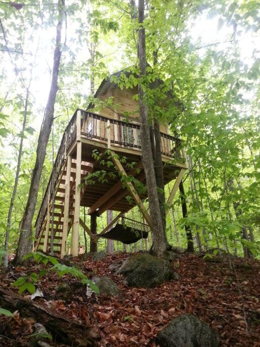Maine Woods Treehouse-The Birdie - Chambres d'hôtes North Lovell