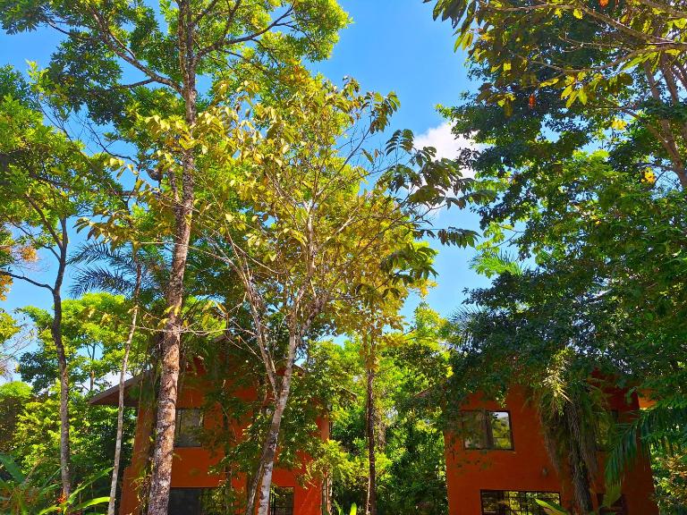 Villas Corcovado-AC-Jacuzzi-Pool-Great Views-Nature-Relaxing - Bed and Breakfast Puerto Jiménez