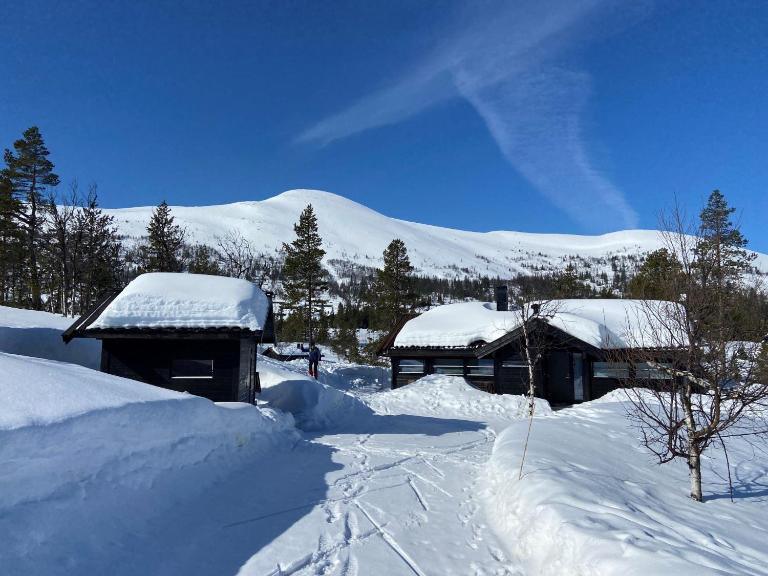Hito - cabin between Flå and Eggedal - B&B Flå