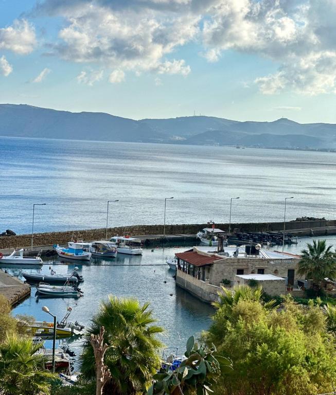 Villas Vista Del Mar - B&B Kissamos