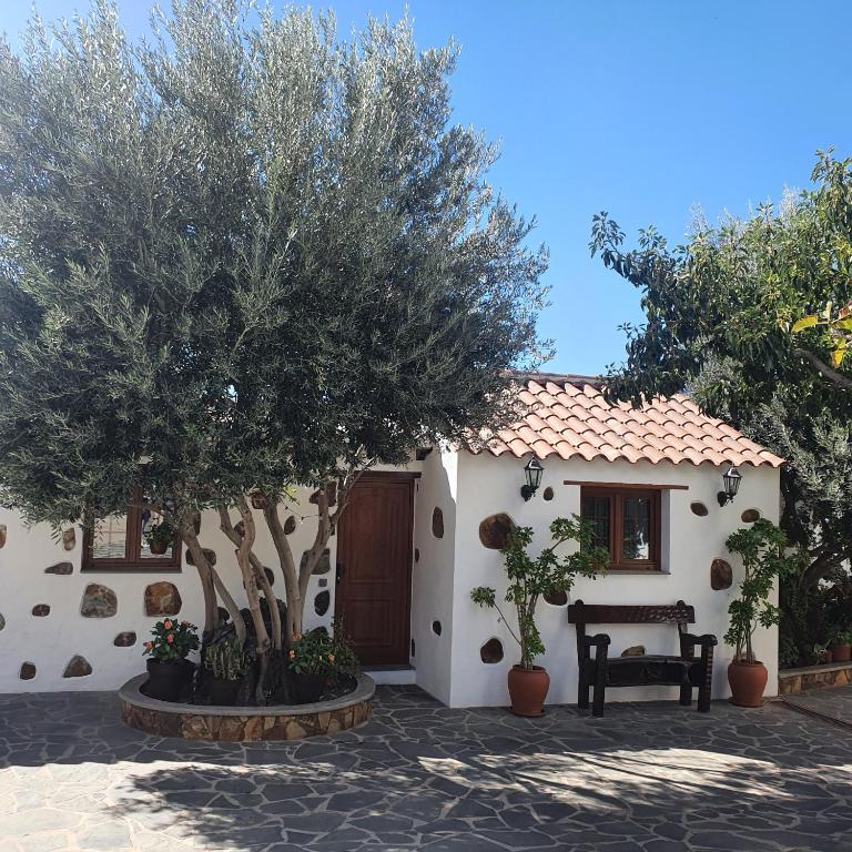 La Gallania de Papá Pepe - Bed and Breakfast Santa Lucía